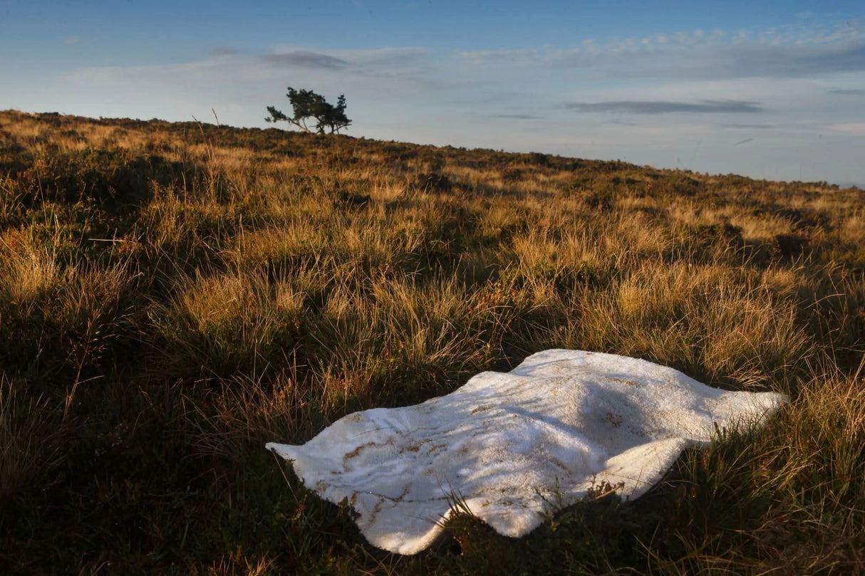 A&H Castello Bath Rug w/ non-slip backing. Available in 3 standard sizes