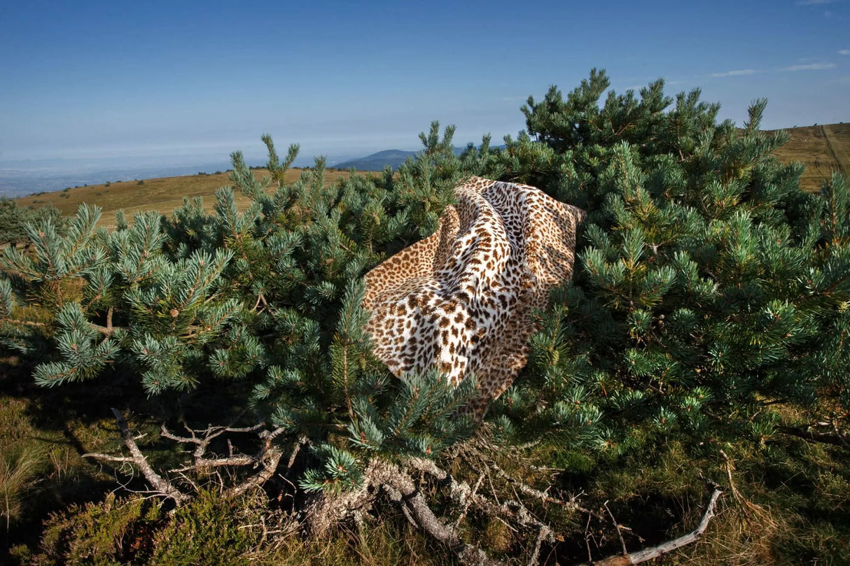 A&H Feline Bath Rug, 100% Giza Egyptian Cotton Long Staple. Two available sizes