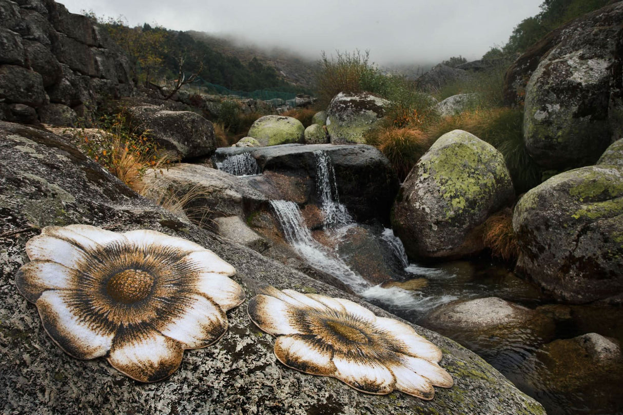 A&H Magnolia Bath Rug - 31" Diameter