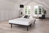 Level Platform Bed