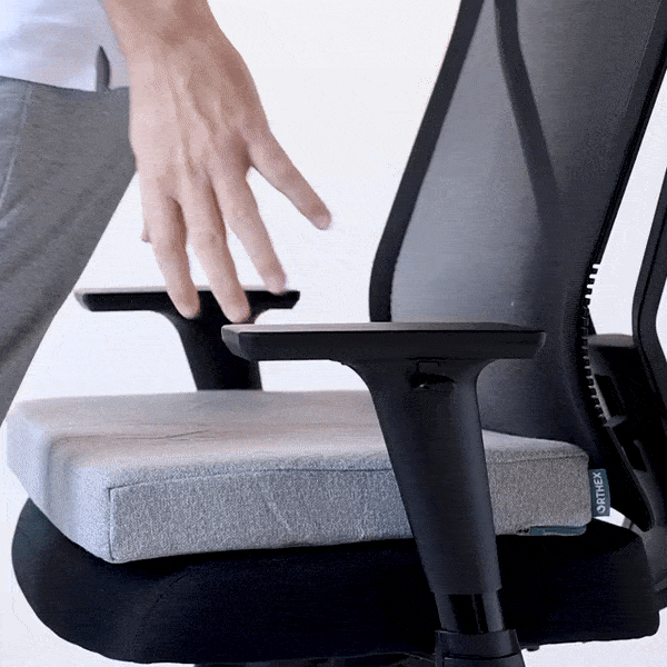 Symbia 2.5" Seating Cushion