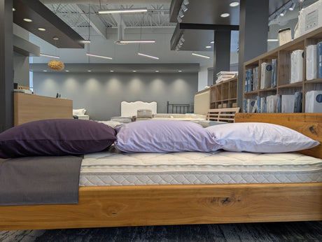 Fill Amounts; Left: Extra-Firm, Middle: Firm, Right: Medium. Purple pillowcases are not included. Aspen Pillows shown in our Sherwood Park store on a TEAM 7 Nox bed frame