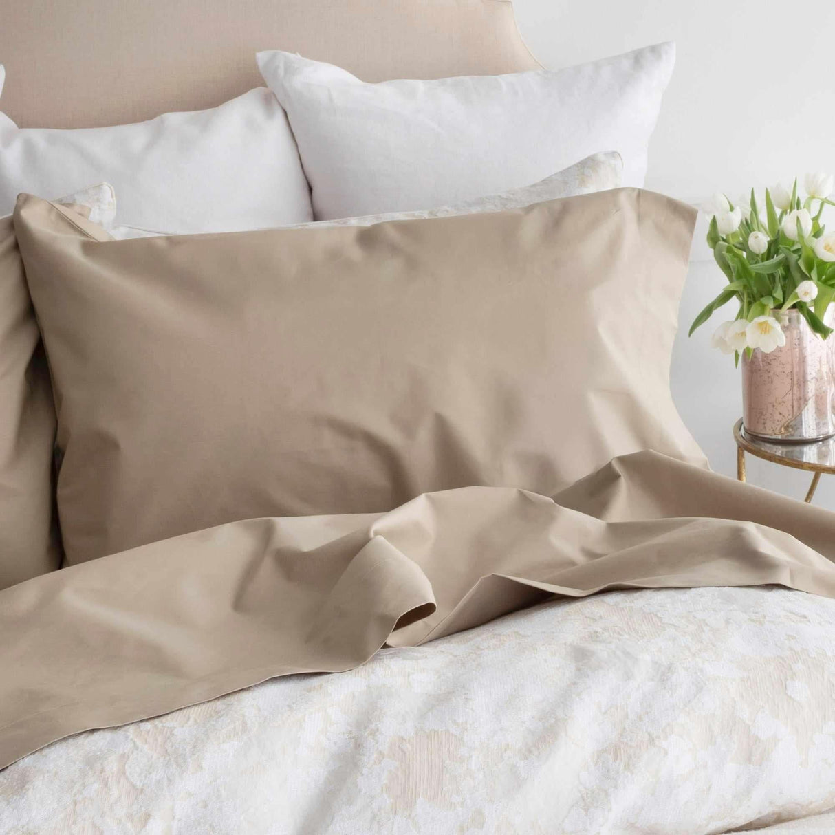 Hotel Roma in Biscotti (darker solid colour)