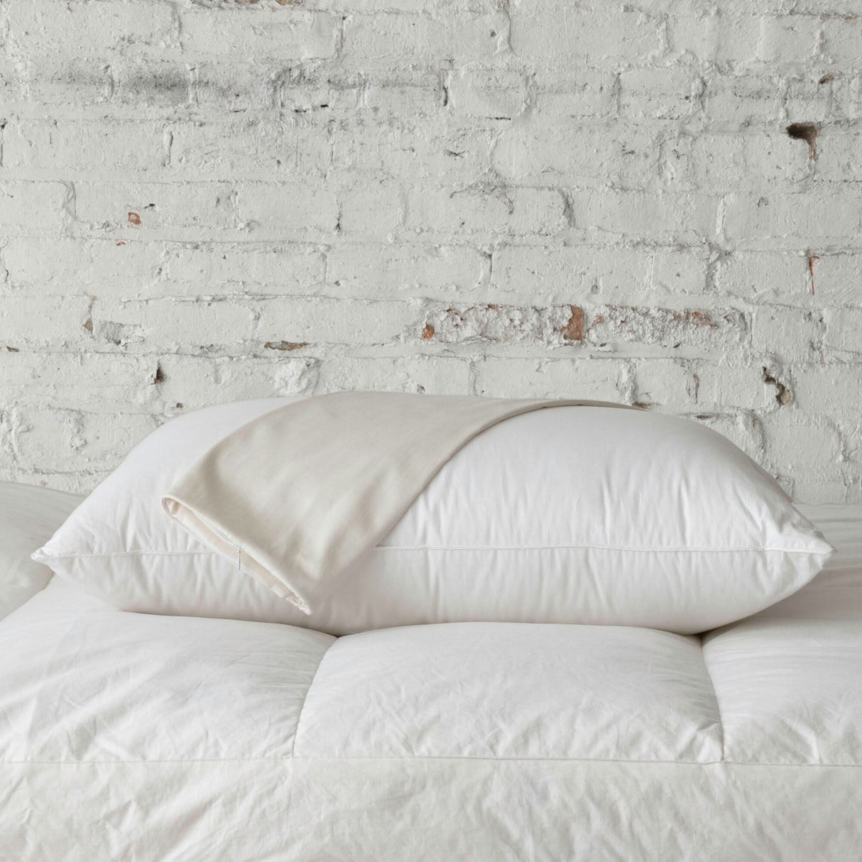 ION Pillow Protector