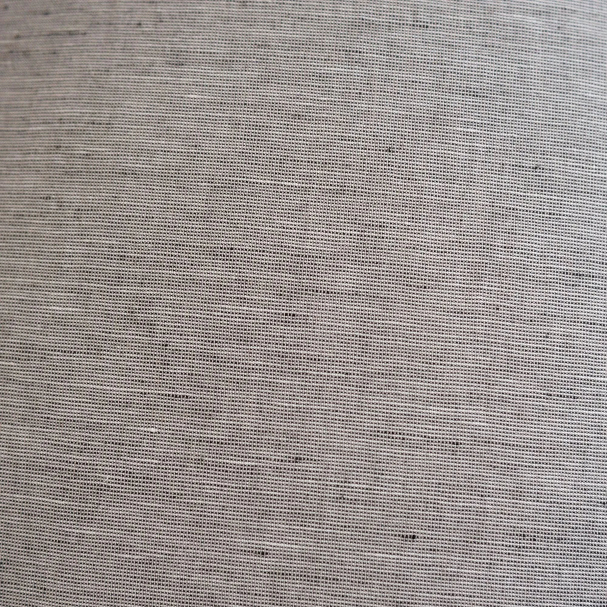 St Genève Riva in Carbon