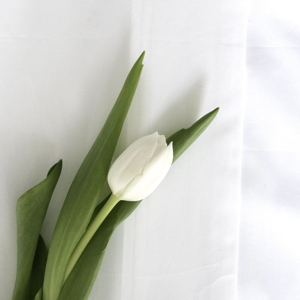 Sintra Bed Linen Collection