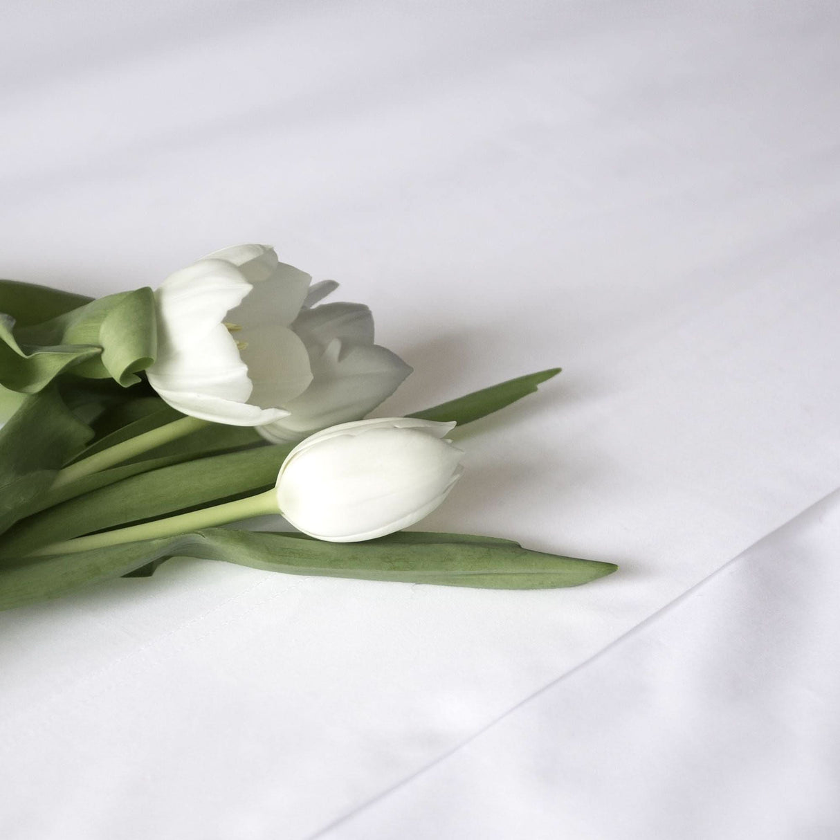 Sintra Bed Linen Collection