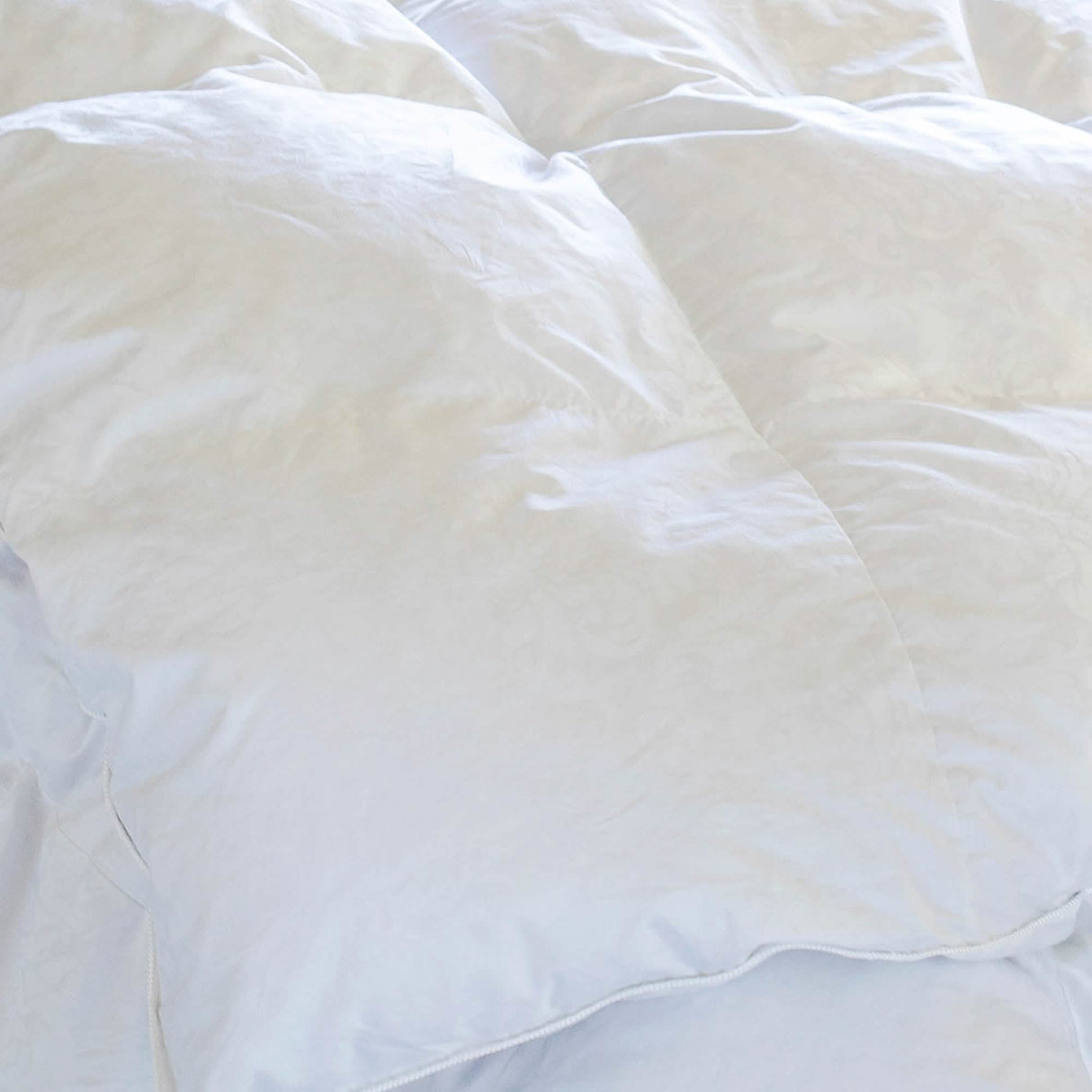 Clearance Duvets & Pillows