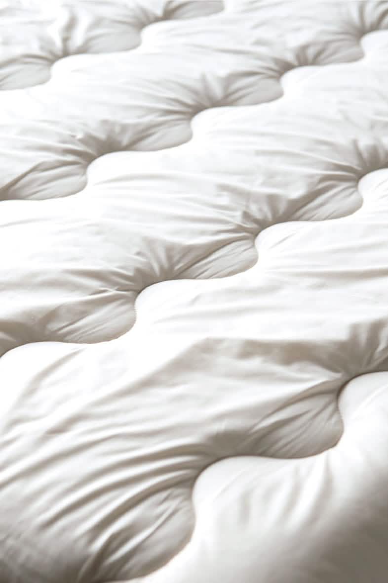 Organic Wool Duvet