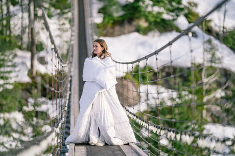 How to Buy a Down Duvet