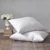 Clearance Duvets & Pillows
