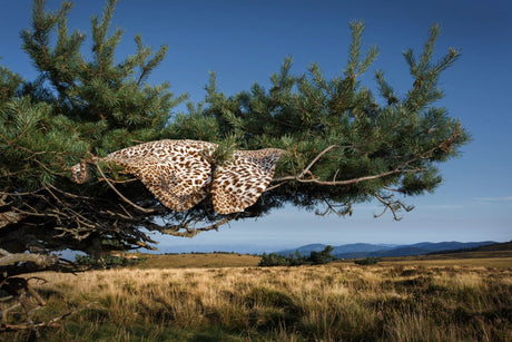 A&H Feline Bath Rug, 100% Giza Egyptian Cotton Long Staple. Two available sizes