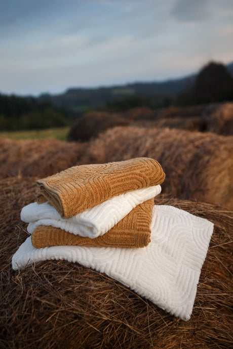 A&H Olly Towels in 103 Ivory & 840 Gold