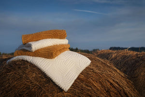 A&H Olly Towels in 103 Ivory & 840 Gold