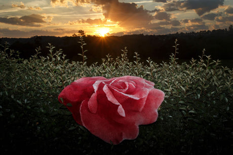 A&H Passion Bath Rug in 573 Flamingo. 100% Giza Egyptian Cotton Long Staple