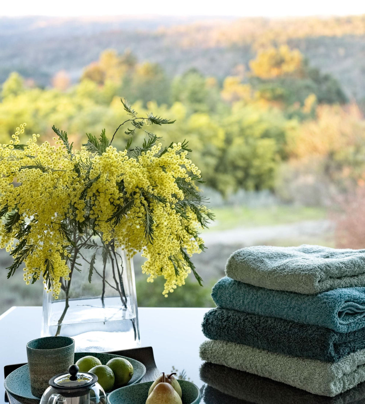 A&H Super Pile Bath Towels (top-to-bottom) in 210 Aqua, 325 Dragonfly, 320 Duck, 210 Aqua and 280 Evergreen