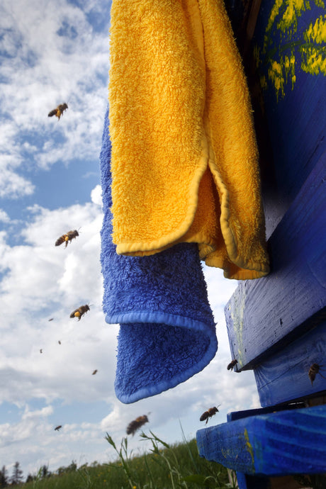 A&H Super Pile Towels in 830 Banane and 304 Marina