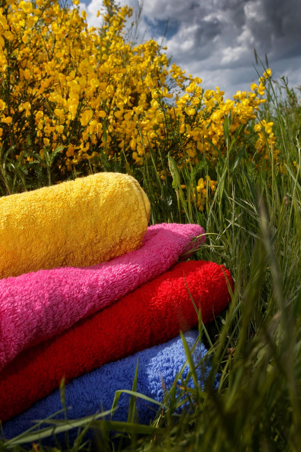 A&H Super Pile Towels (top-to-bottom) in 830 Banane, 570 Happy Pink, 564 Carmin and 304 Marina