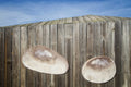 Product image thumbnail 9