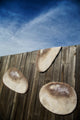 Product image thumbnail 10