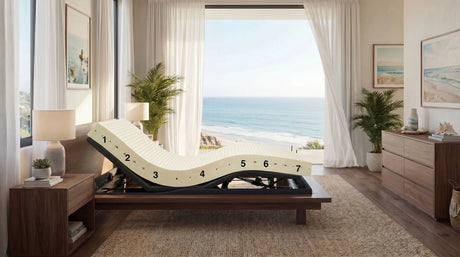 The 6" 7-zone Vita Talalay latex core contours perfectly. Shown here with the Ergomotion Ebreza electric adjustable base