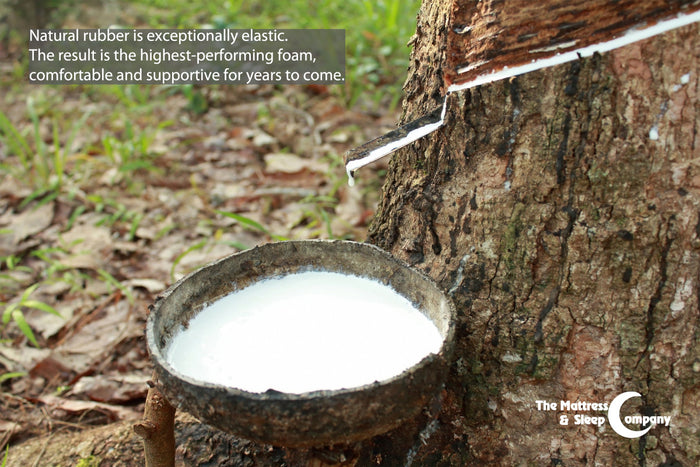 100% Natural Latex Mattresses & Pillows in Canada