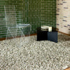 B&C Dots Moss 170537