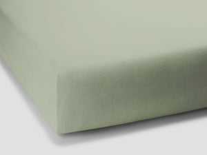 0532 - Pistazie - Pistachio