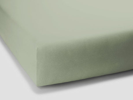 0532 - Pistazie - Pistachio