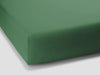 0533 - Olive