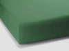 0533 - Olive