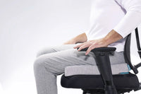 Symbia 2.5" Seating Cushion