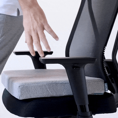 Symbia 2.5" Seating Cushion