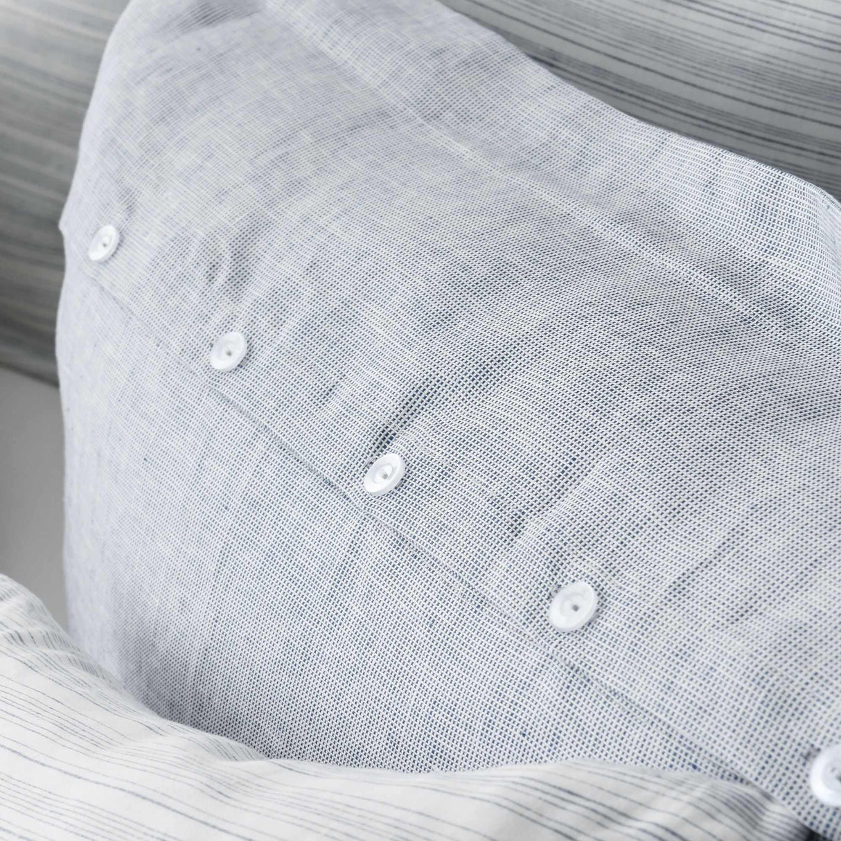 Colette Check in French Blue