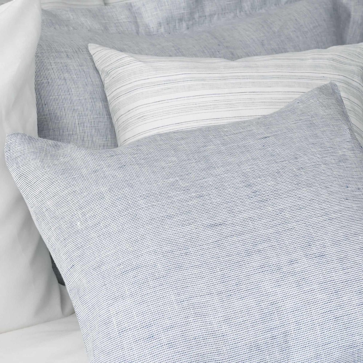 Colette Check in French Blue