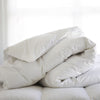 Clearance Duvets & Pillows