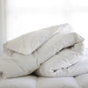 Clearance Duvets & Pillows