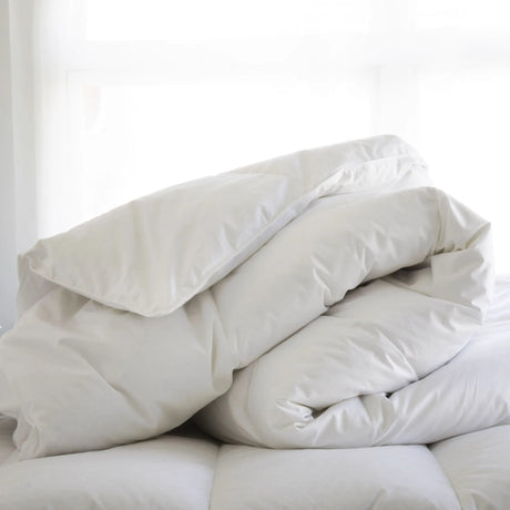Clearance Duvets & Pillows