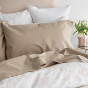 Hotel Roma in Biscotti (darker solid colour)