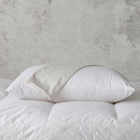 ION Pillow Protector