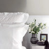 St Genève Regency Egyptian Cotton ELS Shams & Pillowcases in White