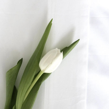 St Genève Sintra 300 thread count percale bedding in crisp white. Available in duvet covers, flat/fitted sheets, shams and pillowcases