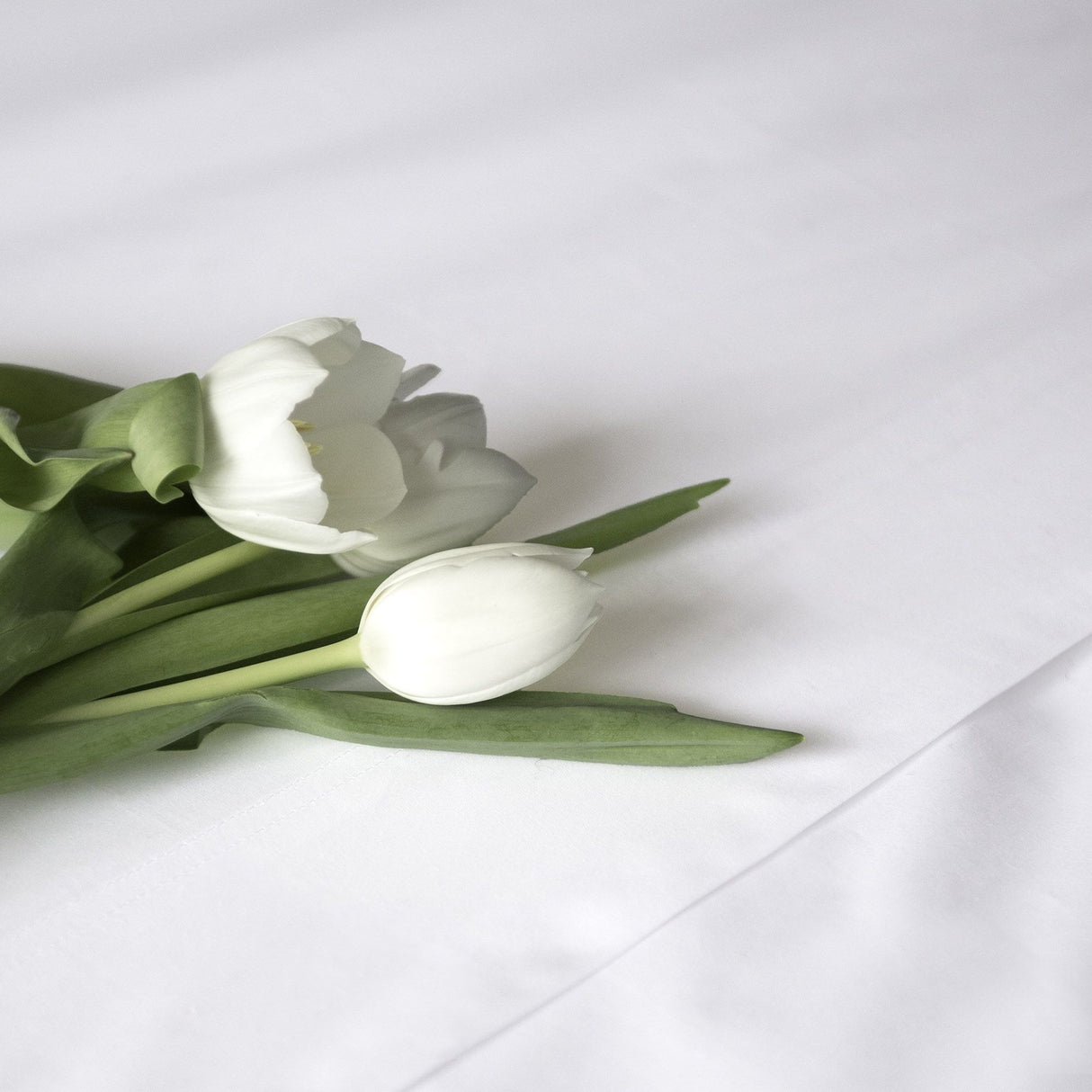 Sintra Bed Linen Collection