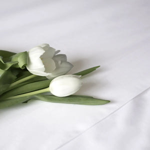St Genève Sintra 300 thread count percale bedding in crisp white. Available in duvet covers, flat/fitted sheets, shams and pillowcases