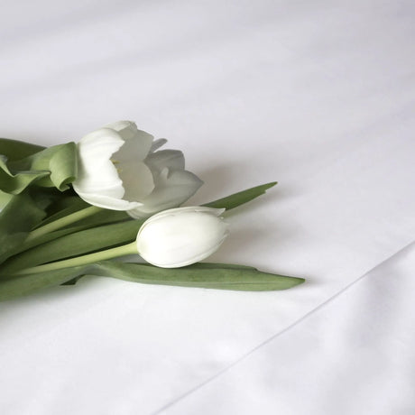 St Genève Sintra 300 thread count percale bedding in crisp white. Available in duvet covers, flat/fitted sheets, shams and pillowcases