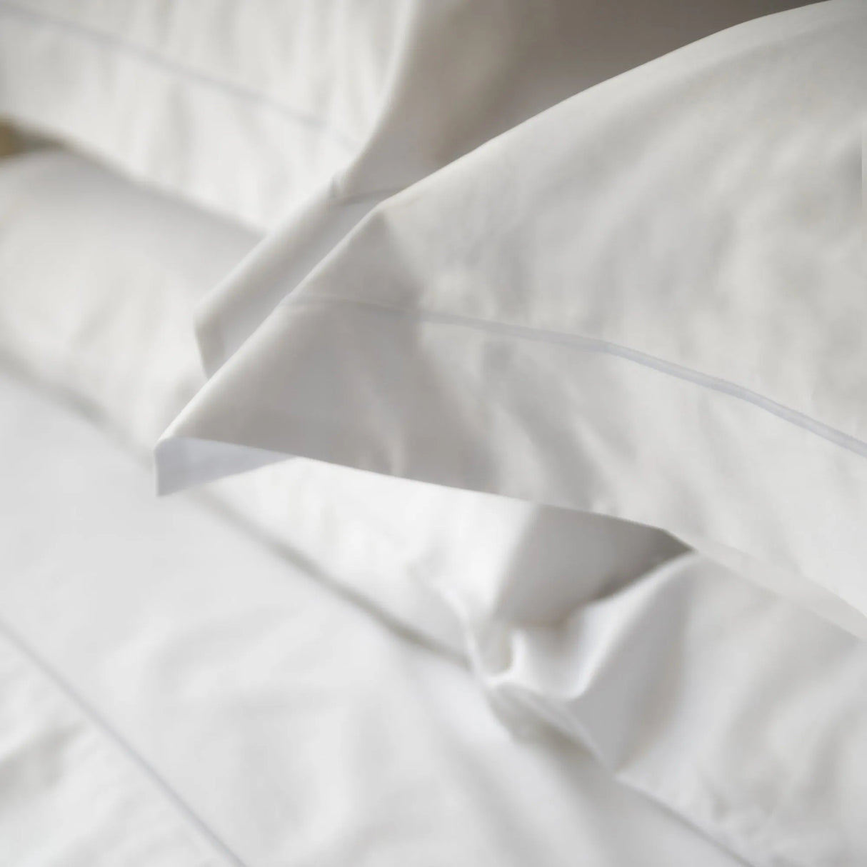 St Genève Grand Veneto Pillow Shams in white @ TMASC
