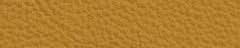 team-7-leather-73250-curcuma-l1 in Canada at The Mattress & Sleep Co