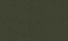 TEAM 7 Leather 7101 Olive L1