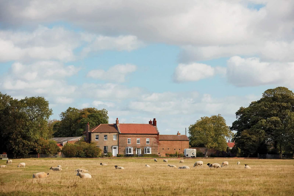 Harrison Spinks Mattresses are Grown in Yorkshire.