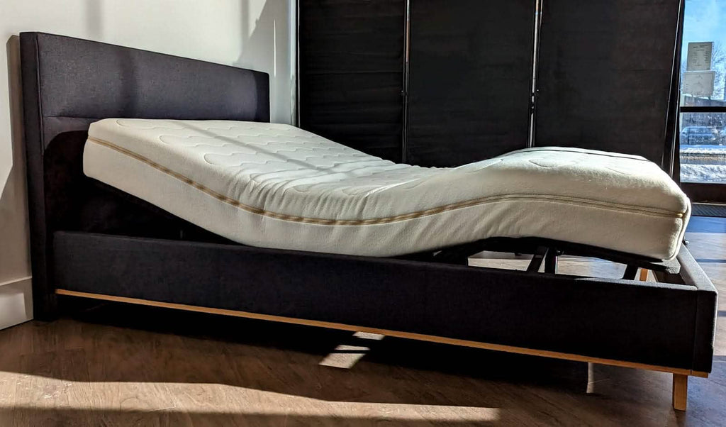 Rochelle dark grey bed w/ Logicdata Optimus electric adjustable + t•masc Organic Mattress